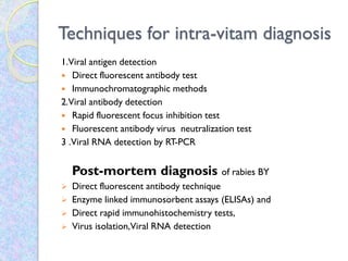 Techniques for intra-vitam diagnosis
1.Viral antigen detection
 Direct fluorescent antibody test
 Immunochromatographic methods
2.Viral antibody detection
 Rapid fluorescent focus inhibition test
 Fluorescent antibody virus neutralization test
3 .Viral RNA detection by RT-PCR
Post-mortem diagnosis of rabies BY
 Direct fluorescent antibody technique
 Enzyme linked immunosorbent assays (ELISAs) and
 Direct rapid immunohistochemistry tests,
 Virus isolation,Viral RNA detection
 