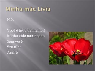 Mãe Você é tudo de melhor! Minha vida não é nada Sem você! Seu filho André 