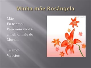 Mãe  Eu te amo! Para mim você é  a melhor mãe do  Mundo. Te amo! Vinícius 