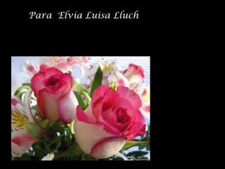 Para Elvia Luisa Lluch
 