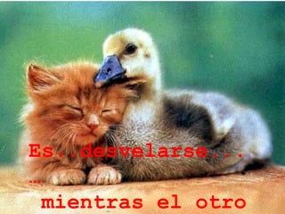 . Es..desvelarse...… mientras el otro duerme.... 