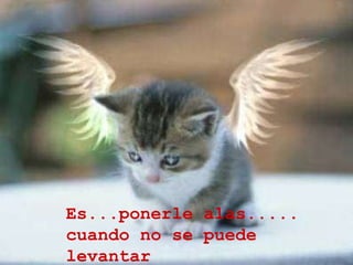 Es...ponerle alas..... cuando no se puede levantar 