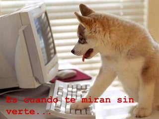 Es cuando te miran sin verte... y siendo sordo te escucha.... 