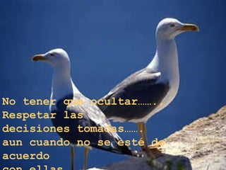 No tener que ocultar…….,  Respetar las decisiones tomadas……. aun cuando no se esté de acuerdo  con ellas. 