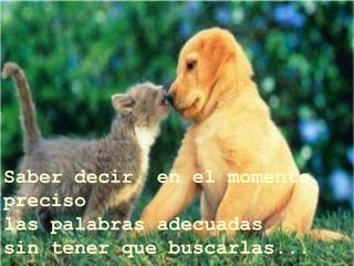 Saber decir  en el momento preciso las palabras adecuadas sin tener que buscarlas... 