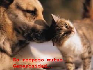 Es respeto mutuo…. Generosidad…. 