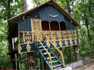 Tree House

 