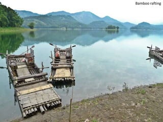 Bamboo rafting

 