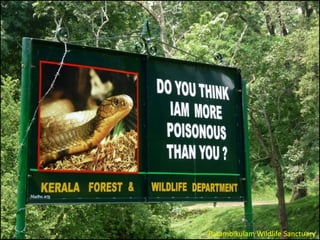 Parambikulam Wildlife Sanctuary

 