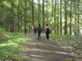 Trekking

 