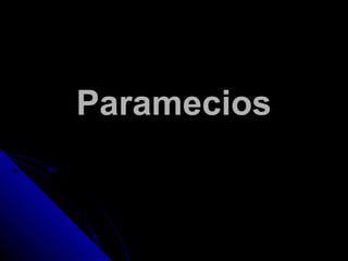 ParameciosParamecios
 