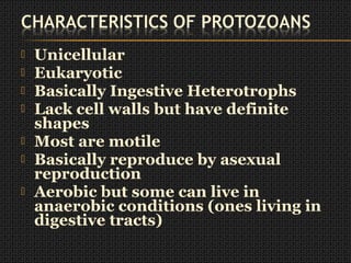  Unicellular
 Eukaryotic
 Basically Ingestive Heterotrophs
 Lack cell walls but have definite
shapes
 Most are motile
 Basically reproduce by asexual
reproduction
 Aerobic but some can live in
anaerobic conditions (ones living in
digestive tracts)
 