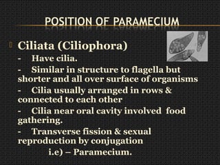  Ciliata (Ciliophora)
- Have cilia.
- Similar in structure to flagella but
shorter and all over surface of organisms
- Cilia usually arranged in rows &
connected to each other
- Cilia near oral cavity involved food
gathering.
- Transverse fission & sexual
reproduction by conjugation
i.e) – Paramecium.
 