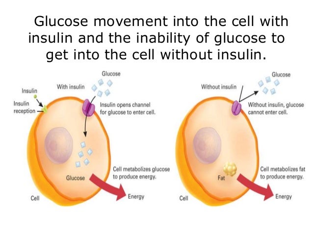 How does glucose enter a cell?