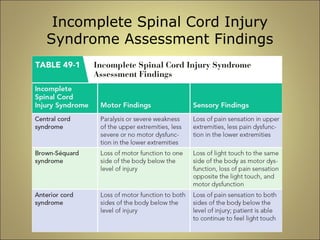 Incomplete Spinal Cord Injury 
Syndrome Assessment Findings 
 