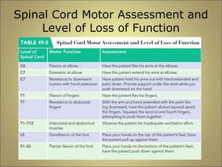 Spinal Cord Motor Assessment and 
Level of Loss of Function 
 