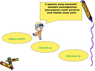 3 spesies yang menandai
semakin meningkatnya
pencemaran suatu perairan
oleh limbah asam yaitu :
Euglena mutabilis
Chromulina sp.
Ochromonas Sp.
 