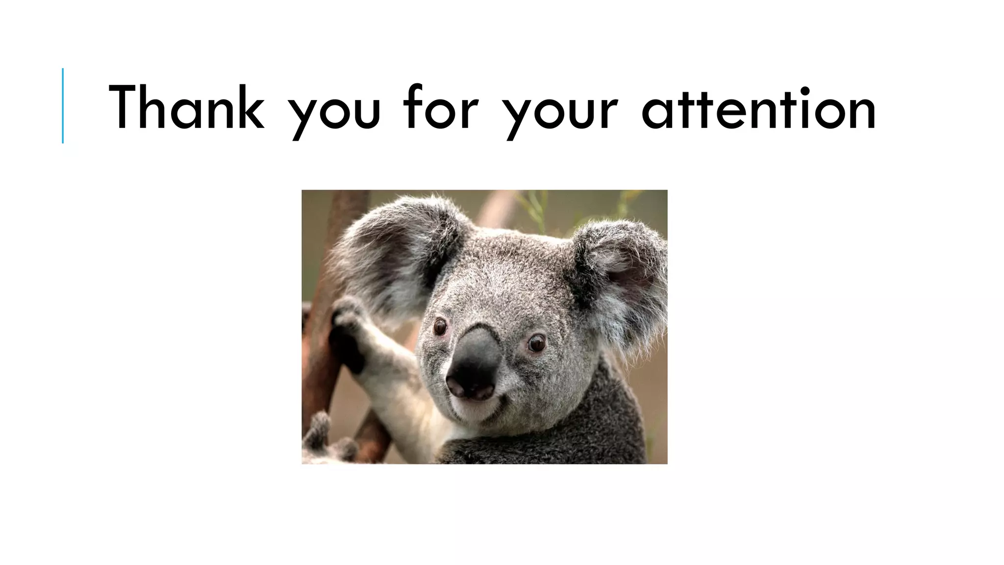 Thank you for your attention
 