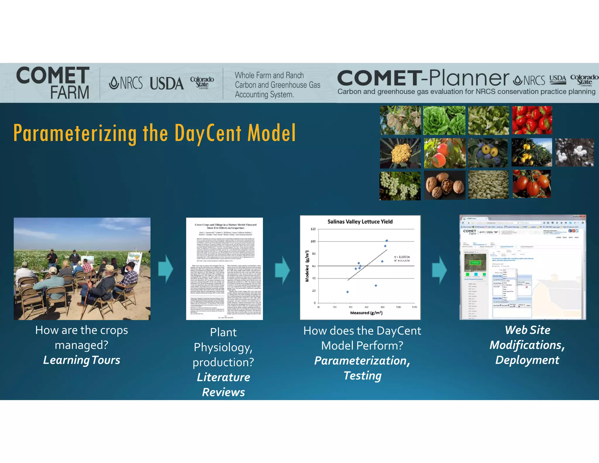 Parameterizing the DayCent Model
How are the crops 
managed?
Learning Tours
Plant 
Physiology, 
production?
Literature
Reviews
How does the DayCent 
Model Perform?
Parameterization,
Testing
Web Site
Modifications,
Deployment
 
