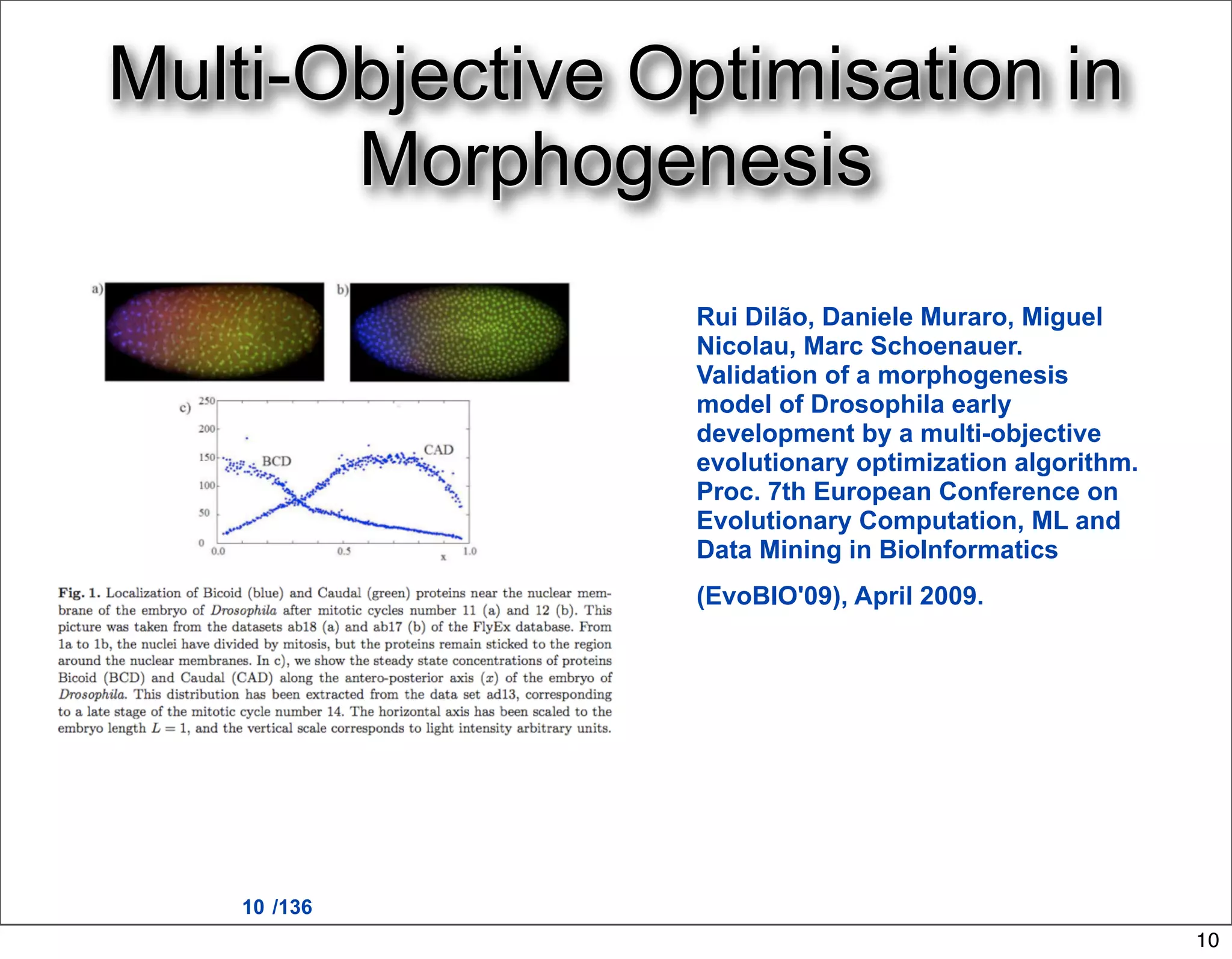 Multi-Objective Optimisation in
       Morphogenesis
                 Rui Dilão, Daniele Muraro, Miguel
                 Nicolau, Marc Schoenauer.
                 Validation of a morphogenesis
                 model of Drosophila early
                 development by a multi-objective
                 evolutionary optimization algorithm.
                 Proc. 7th European Conference on
                 Evolutionary Computation, ML and
                 Data Mining in BioInformatics
                 (EvoBIO'09), April 2009.




    10 /136
                                                        10
 