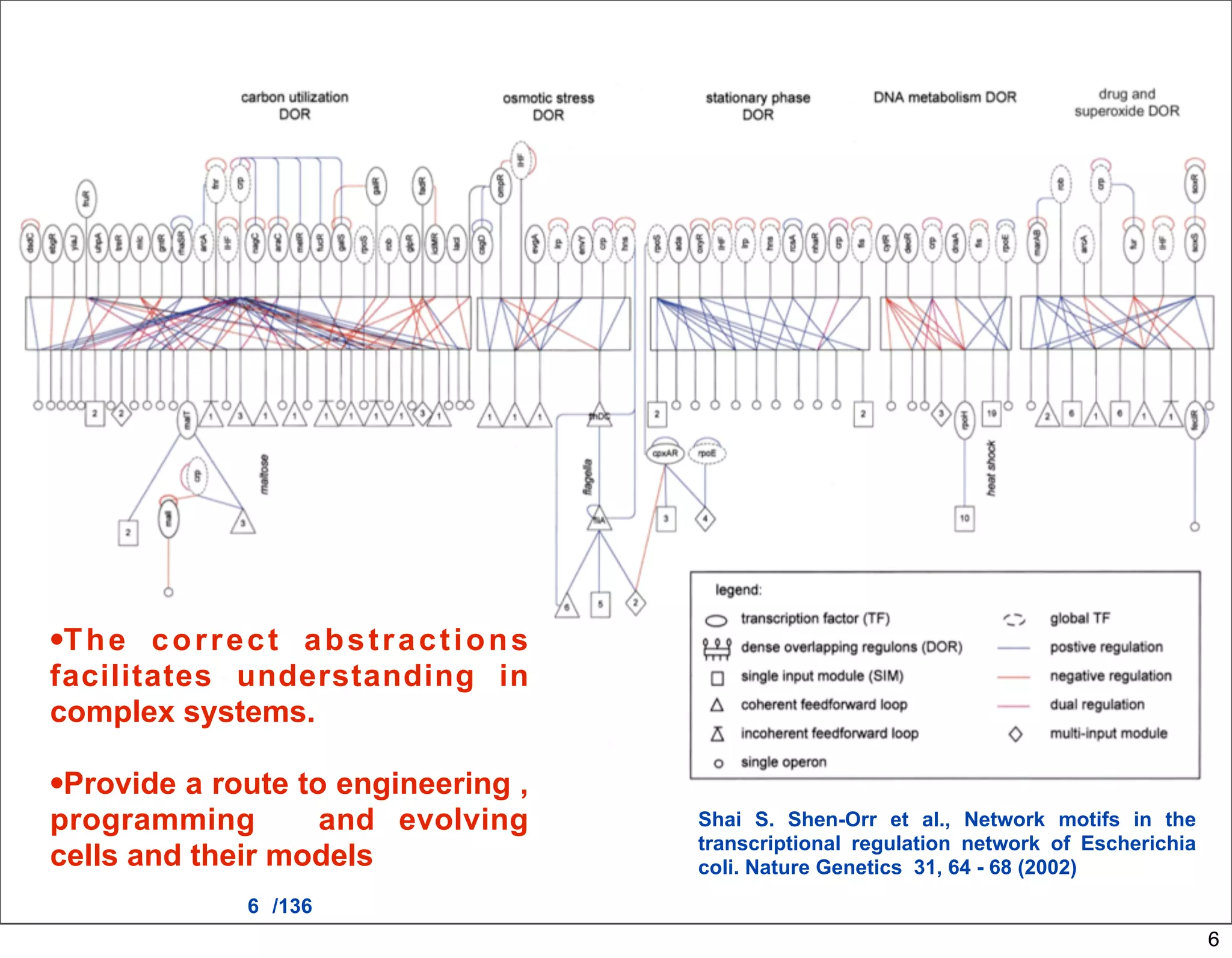 •T h e correct abstractions
facilitates understanding in
complex systems.

•Provide a route to engineering ,
programming       and evolving      Shai S. Shen-Orr et al., Network motifs in the
                                    transcriptional regulation network of Escherichia
cells and their models              coli. Nature Genetics 31, 64 - 68 (2002)
             6 /136
                                                                                        6
 