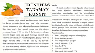IDENTITAS
TANAMAN
KUNYIT
 