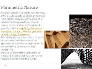 Parametric Nature
Natural systems like plants for example,
offer a wide variety of great properties
from plants. They are composed of a
modular building blocks at several
scales these modular building blocks
give the plant a regularity, but at the
same time they are able to generate
a wide range of variation.
This ability to use a limited kit of parts
at the same time generate w big
spectrum of variation is very important
for architects to research and
understand
the use of parametric software's to
generate a fabric that has the natural
models inspired from the plants.
 