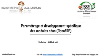 Paramétrage et développement spécifique
des modules odoo (OpenERP)
Réalisé par : Ait Mlouk Addi
Blog : http://aitmlouk-addi.blogspot.comSite web : http://www.aitmlouk-addi.infoaitmlouk@gmail.com
 