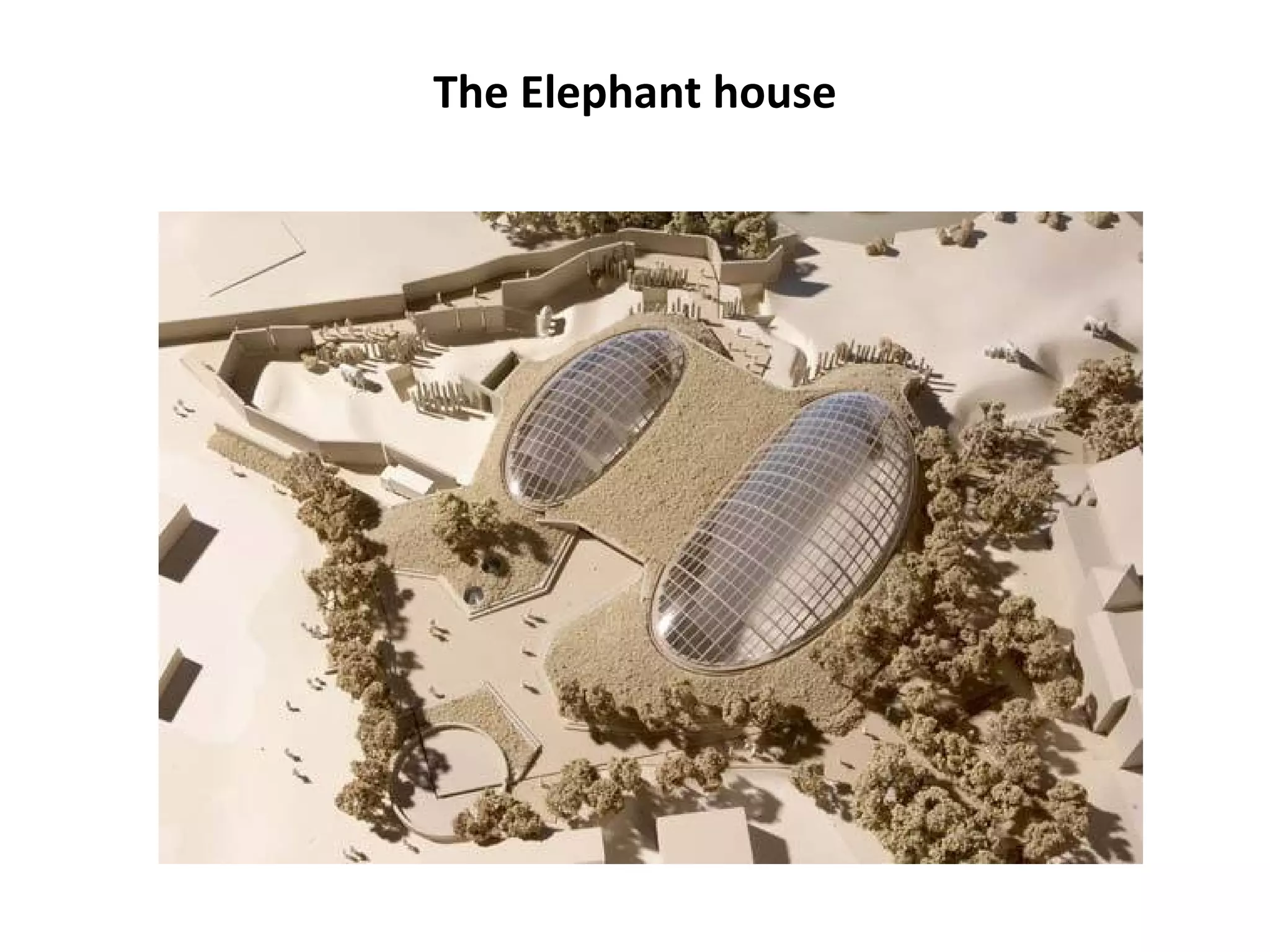The Elephant house
 