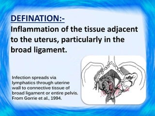 Parametritis visual data 3