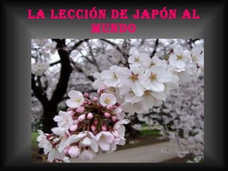 La lección de Japón al mundo 