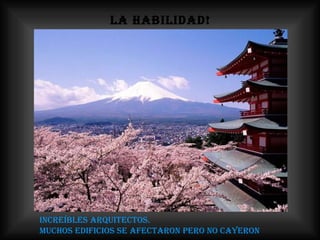 LA HABILIDAD! Increíbles arquitectos.  Muchos edificios se afectaron pero NO cayeron 