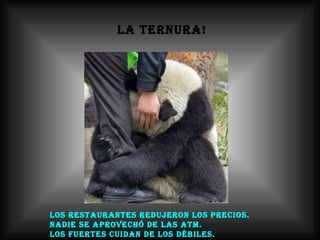 LA TERNURA! Los restaurantes redujeron los precios.  Nadie se aprovechó de las ATM.  Los fuertes cuidan de los débiles. 