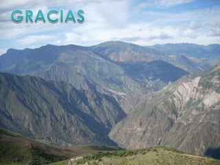 Parametros de ventilacion mecanica