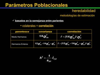 colaterales =  correlación metodologías de estimación basados en la semejanza entre parientes Hermanos Enteros Medio Hermanos correlación covarianza parentesco Parámetros Poblacionales heredabilidad 
