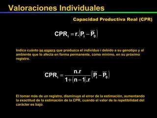 Capacidad Productiva Real (CPR) Indica cuánto  se espera  que produzca el individuo i debido a su genotipo y al ambiente que lo afecta en forma permanente, como mínimo, en su próximo registro. El tomar más de un registro, disminuye el error de la estimación, aumentando la exactitud de la estimación de la CPR, cuando el valor de la repetibilidad del carácter es bajo. Valoraciones Individuales 