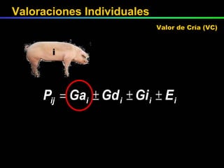 i Valor de Cría (VC) Valoraciones Individuales 