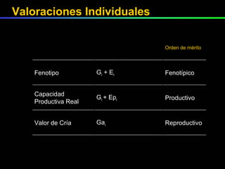 Valoraciones Individuales Reproductivo Ga i Valor de Cría Productivo G i  + Ep i Capacidad Productiva Real Fenotípico G i  + E i Fenotipo Orden de mérito 