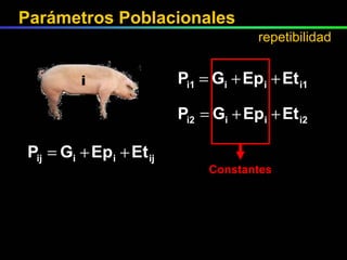i Constantes Parámetros Poblacionales repetibilidad 