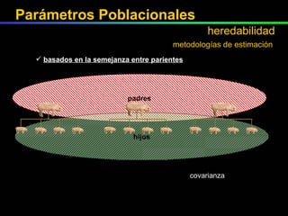 padres basados en la semejanza entre parientes hijos covarianza metodologías de estimación Parámetros Poblacionales heredabilidad 