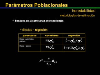 directos =  regresión metodologías de estimación basados en la semejanza entre parientes Hijos – padre Hijos –promedio padres regresión covarianza parentesco Parámetros Poblacionales heredabilidad 