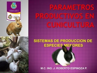 SISTEMAS DE PRODUCCION DE
ESPECIES MENORES
M.C. ING. J. ROBERTO ESPINOZA P.
 