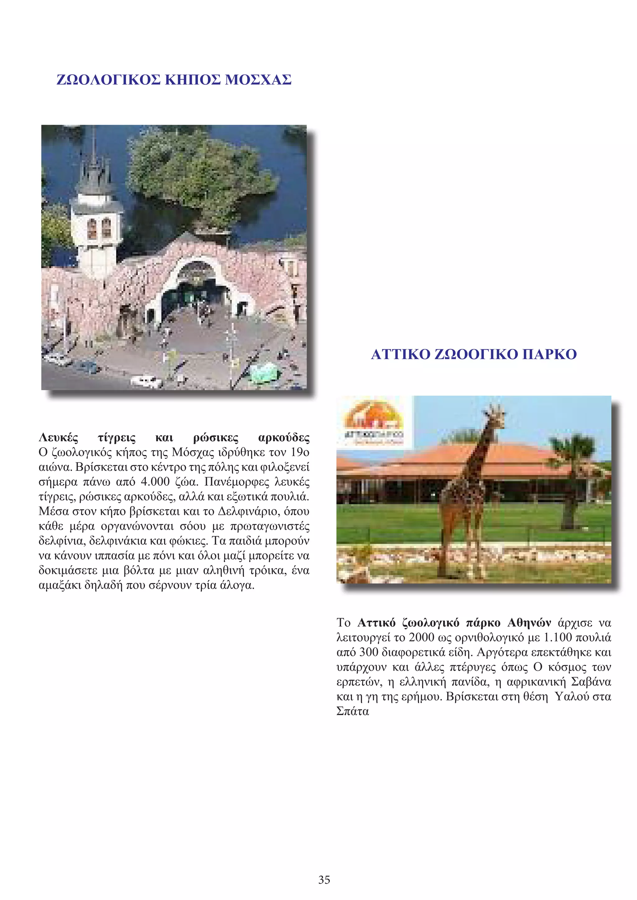35
ΖΩΟΛΟΓΙΚΟΣ ΚΗΠΟΣ ΜΟΣΧΑΣ
Λευκές τίγρεις και ρώσικες αρκούδες
Ο ζωολογικός κήπος της Μόσχας ιδρύθηκε τον 19ο
αιώνα. Βρίσκεται στο κέντρο της πόλης και φιλοξενεί
σήμερα πάνω από 4.000 ζώα. Πανέμορφες λευκές
τίγρεις, ρώσικες αρκούδες, αλλά και εξωτικά πουλιά.
Μέσα στον κήπο βρίσκεται και το Δελφινάριο, όπου
κάθε μέρα οργανώνονται σόου με πρωταγωνιστές
δελφίνια, δελφινάκια και φώκιες. Τα παιδιά μπορούν
να κάνουν ιππασία με πόνι και όλοι μαζί μπορείτε να
δοκιμάσετε μια βόλτα με μιαν αληθινή τρόικα, ένα
αμαξάκι δηλαδή που σέρνουν τρία άλογα.
ΑΤΤΙΚΟ ΖΩΟΟΓΙΚΟ ΠΑΡΚΟ
Το  Αττικό ζωολογικό πάρκο Αθηνών  άρχισε να
λειτουργεί το 2000 ως ορνιθολογικό με 1.100 πουλιά
από 300 διαφορετικά είδη. Αργότερα επεκτάθηκε και
υπάρχουν και άλλες πτέρυγες όπως Ο κόσμος των
ερπετών, η ελληνική πανίδα, η αφρικανική Σαβάνα
και η γη της ερήμου. Βρίσκεται στη θέση Υαλού στα
Σπάτα
 