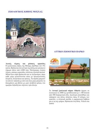 35
ΖΩΟΛΟΓΙΚΟΣ ΚΗΠΟΣ ΜΟΣΧΑΣ
Λευκές τίγρεις και ρώσικες αρκούδες
Ο ζωολογικός κήπος της Μόσχας ιδρύθηκε τον 19ο
αιώνα. Βρίσκεται στο κέντρο της πόλης και φιλοξενεί
σήμερα πάνω από 4.000 ζώα. Πανέμορφες λευκές
τίγρεις, ρώσικες αρκούδες, αλλά και εξωτικά πουλιά.
Μέσα στον κήπο βρίσκεται και το Δελφινάριο, όπου
κάθε μέρα οργανώνονται σόου με πρωταγωνιστές
δελφίνια, δελφινάκια και φώκιες. Τα παιδιά μπορούν
να κάνουν ιππασία με πόνι και όλοι μαζί μπορείτε να
δοκιμάσετε μια βόλτα με μιαν αληθινή τρόικα, ένα
αμαξάκι δηλαδή που σέρνουν τρία άλογα.
ΑΤΤΙΚΟ ΖΩΟΟΓΙΚΟ ΠΑΡΚΟ
Το  Αττικό ζωολογικό πάρκο Αθηνών  άρχισε να
λειτουργεί το 2000 ως ορνιθολογικό με 1.100 πουλιά
από 300 διαφορετικά είδη. Αργότερα επεκτάθηκε και
υπάρχουν και άλλες πτέρυγες όπως Ο κόσμος των
ερπετών, η ελληνική πανίδα, η αφρικανική Σαβάνα
και η γη της ερήμου. Βρίσκεται στη θέση Υαλού στα
Σπάτα
 