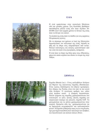 37
ΕΛΙΑ
Η ελιά εμφανίστηκε στην ανατολική Μεσόγειο
εδώ και χιλιάδες χρόνια. Στις Κυκλάδες βρέθηκαν
απολιθωμένα φύλλα ελιάς που ήταν περίπου 50-
60.000 ετών! Στα αρχαία χρόνια το δέντρο της ελιάς
ήταν το δέντρο του καλού.
Τα κλαδιά της ελιάς ήταν το έπαθλο για τους αρχαίους
Ολυμπιακούς αγώνες.
Με το πέρασμα των χρόνων οι λαοί της Μεσογείου
δημιούργησαν τον πολιτισμό της ελιάς, δηλαδή τα
ήθη και τα έθιμα τους επηρεάστηκαν από αυτήν.
Πολλοί καλλιτέχνες και ποιητές εμπνεύστηκαν από
την ελιά στα έργα τους (ζωγραφιές, ποιήματα).
Η ελιά ήταν το δώρο της θεάς προς τους Αθηναίους,
χάρη στο οποίο κέρδισε και έδωσε το όνομά της στην
Αθήνα.
ΣΗΜΥΔΑ
Σημύδα (Betula Lat.) - Γένος φυλλοβόλων δένδρων
και θάμνων της οικογένειας σημύδας (Betulaceae).
Είναι ευρέως διαδεδομένη στο βόρειο ημισφαίριο.
Στο έδαφος της Ρωσίας είναι ένα από τα πιο κοινά
είδη δένδρων. Ο συνολικός αριθμός των ειδών
είναι περίπου εκατό ή ελαφρώς περισσότερα.
Πολλά τμήματα της σημύδας χρησιμοποιούνται στο
νοικοκυριό: το ξύλο, φλοιός, φλοιός σημύδας (το
επιφανειακό στρώμα του φλοιού), σημύδα SAP. Τα
μπουμπούκια και τα φύλλα χρησιμοποιούνται στην
ιατρική. Ορισμένα είδη της χρησιμοποιούνται για
τη δημιουργία ανεμοφρακτών και καλλωπιστικών
φυτών. Η Σημύδα ή Μπιριόζα όπως τη λεν στη Ρωσία,
έχει μια σημαντική θέση στον πολιτισμό των Σλάβων,
των Σκανδιναυών και πολλών άλλων εθνών.
 