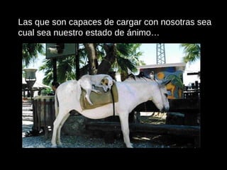 Las que son capaces de cargar con nosotras sea cual sea nuestro estado de ánimo… 