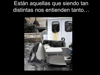 Están aquellas que siendo tan distintas nos entienden tanto… 