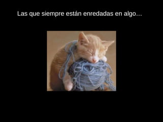 Las que siempre están enredadas en algo… 