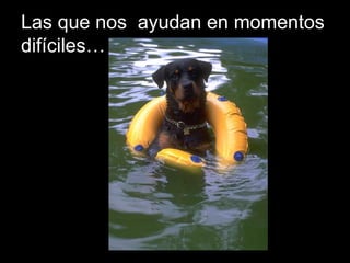 Las que nos  ayudan en momentos difíciles… 