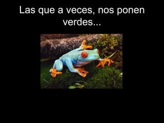 Las que a veces, nos ponen verdes... 